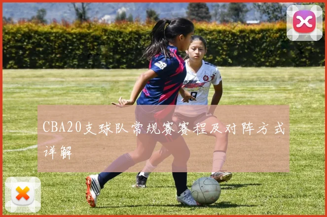 CBA20支球队常规赛赛程及对阵方式详解